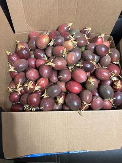 Passion fruits maracuya fresh organic $4 per lb minimum 5 lbs