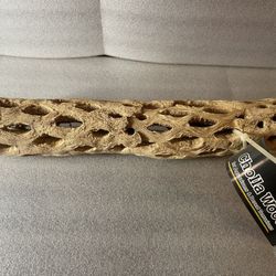 Galapagos Cholla Wood 