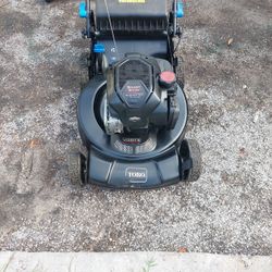 Toro Recycler 22inch SmartStow Rear Self Propelled Lawn Mower 