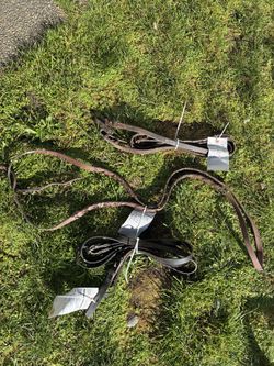 Horse Reins