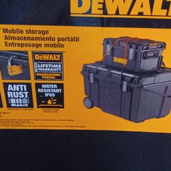 Dewalt Tool Box