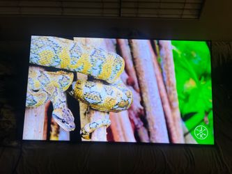70 Inch 4K Samsung Smart TV