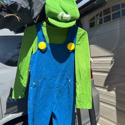 Boys Luigi Costume