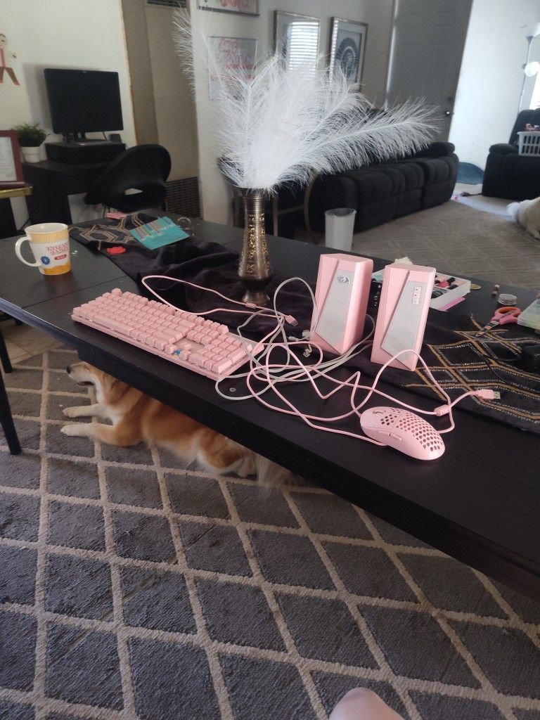 Pink Computer Keyboard, Speakers And Mouse