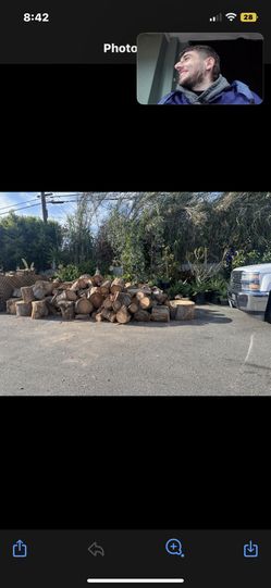 Firewood