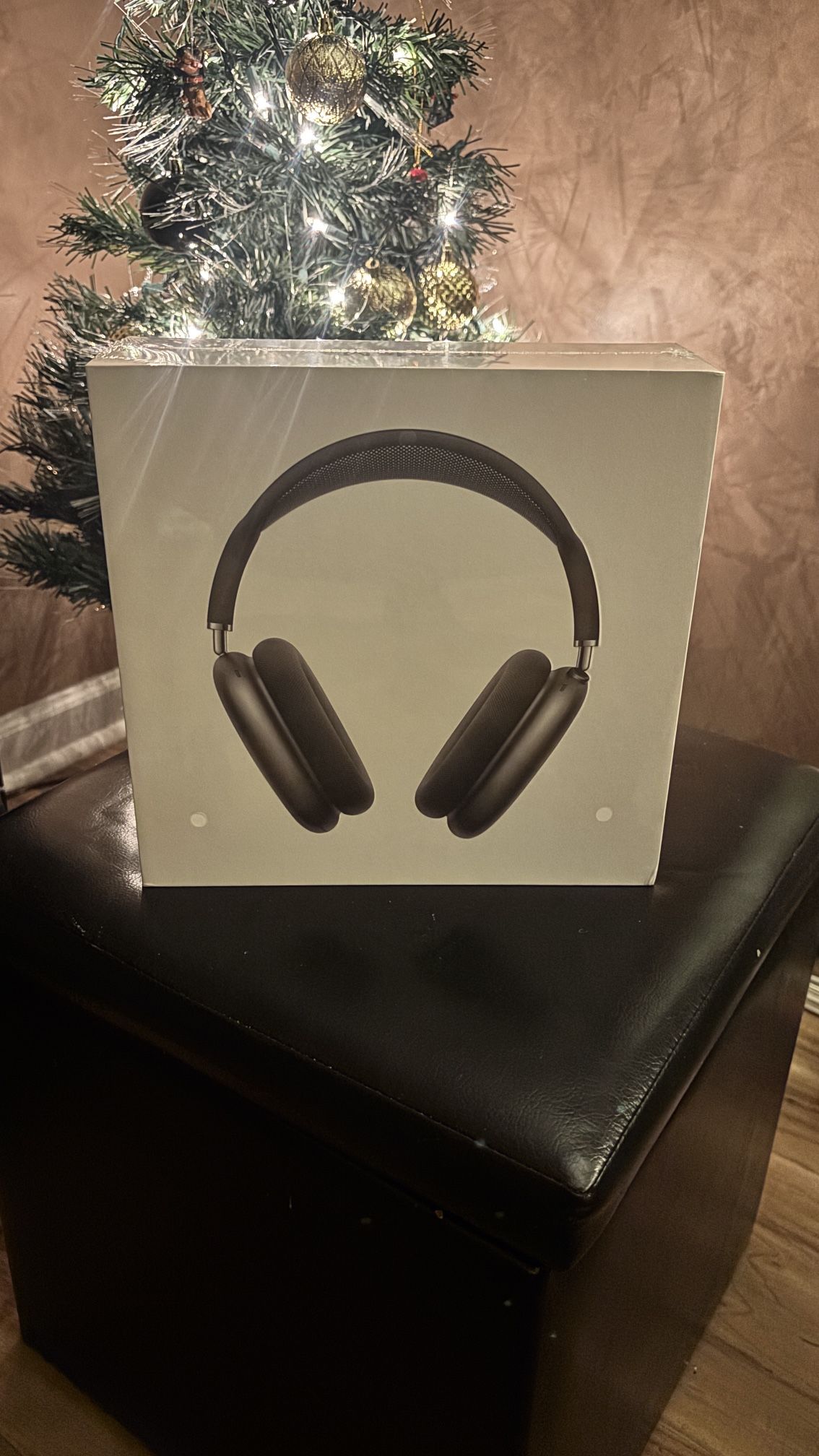 Max Headphones