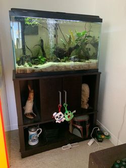 20 Gal Fish Tank & Stand