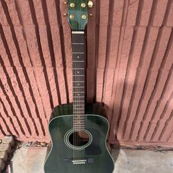 A Washburn D100mcbl  acoustic guitar with a dark green finish with case