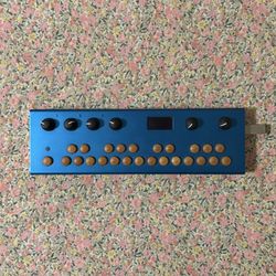Critter & Guitari