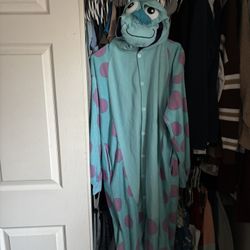 Sully Costume