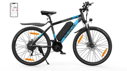 Electric bike