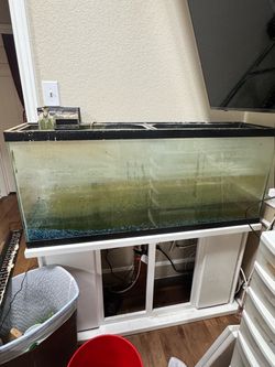 FREE Fish tank 55 Gallon