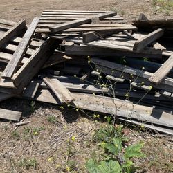 Free pallets