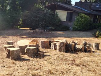 Free Fire Wood
