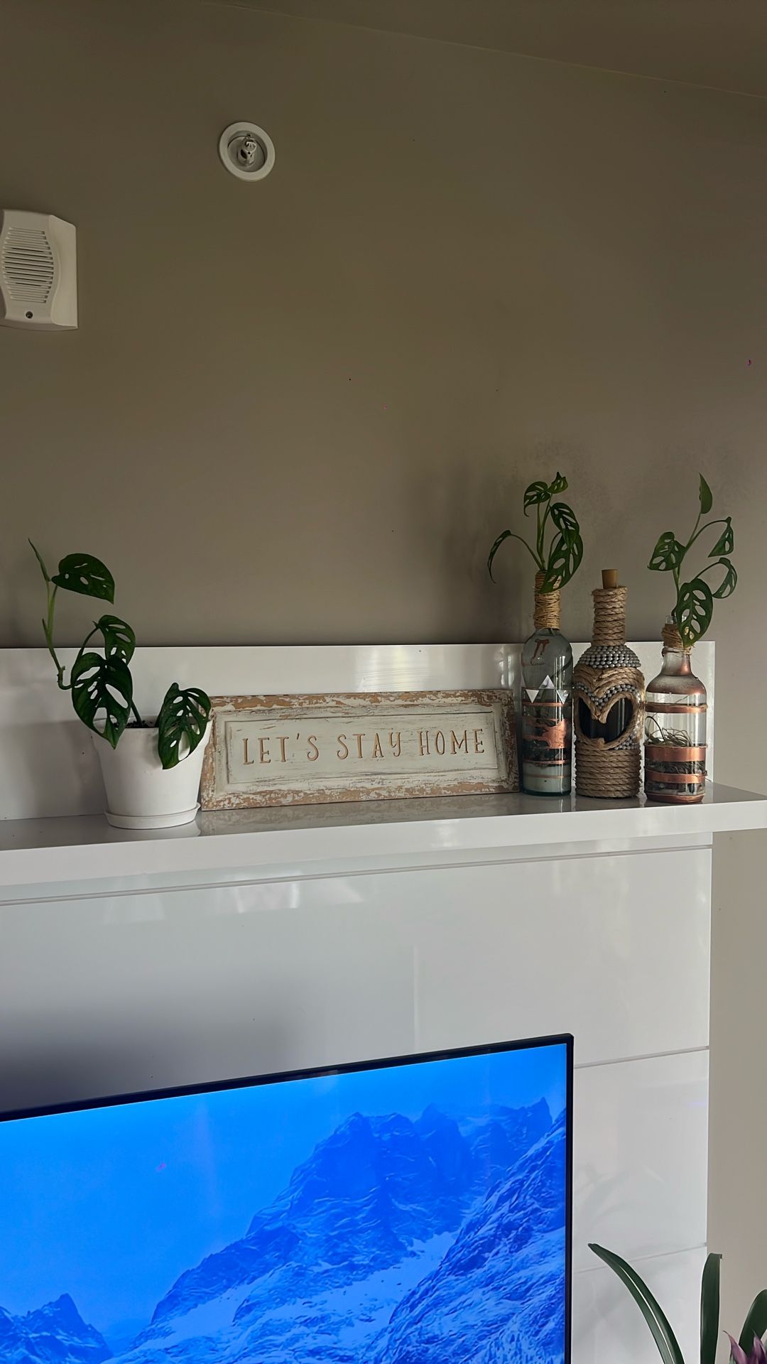 Custom Made Mantle Decorations & REAL plants!