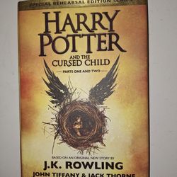 Harry Potter And The Cursed Child