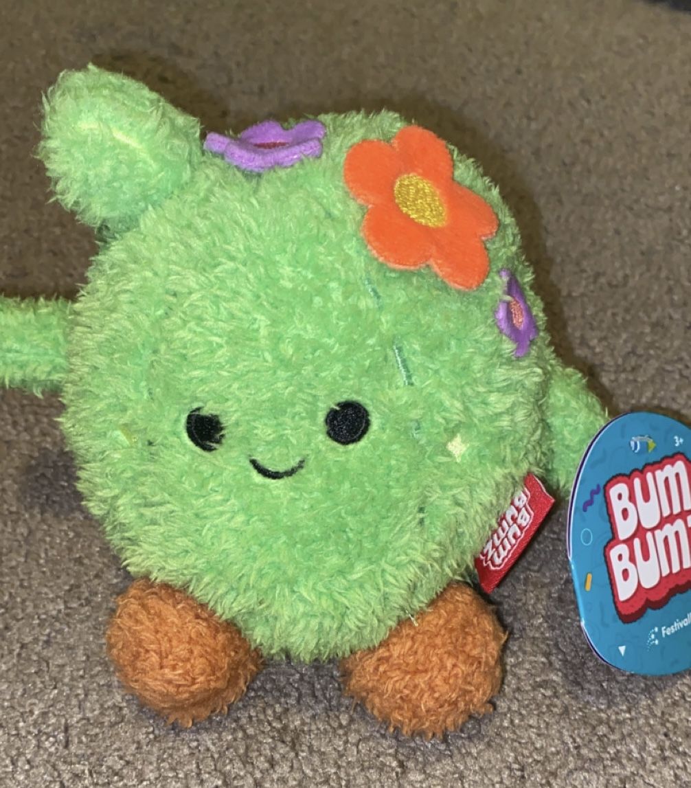 Bum Bumz Cactus