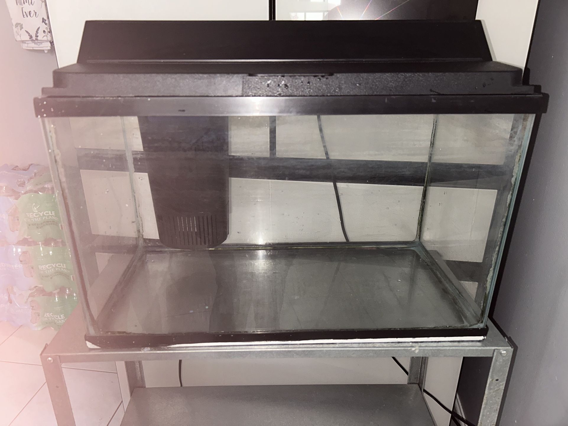 Fish Tank