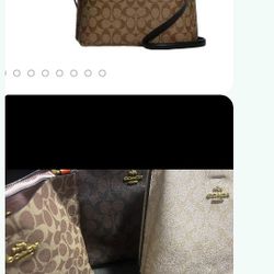 Coach Bags   Mollie Bucket Bag