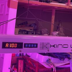 Kind K5 XL1000 LED Grow Light