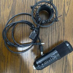 Gaming/Singing Mic