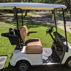Miniature Golf Cart 36 Volt