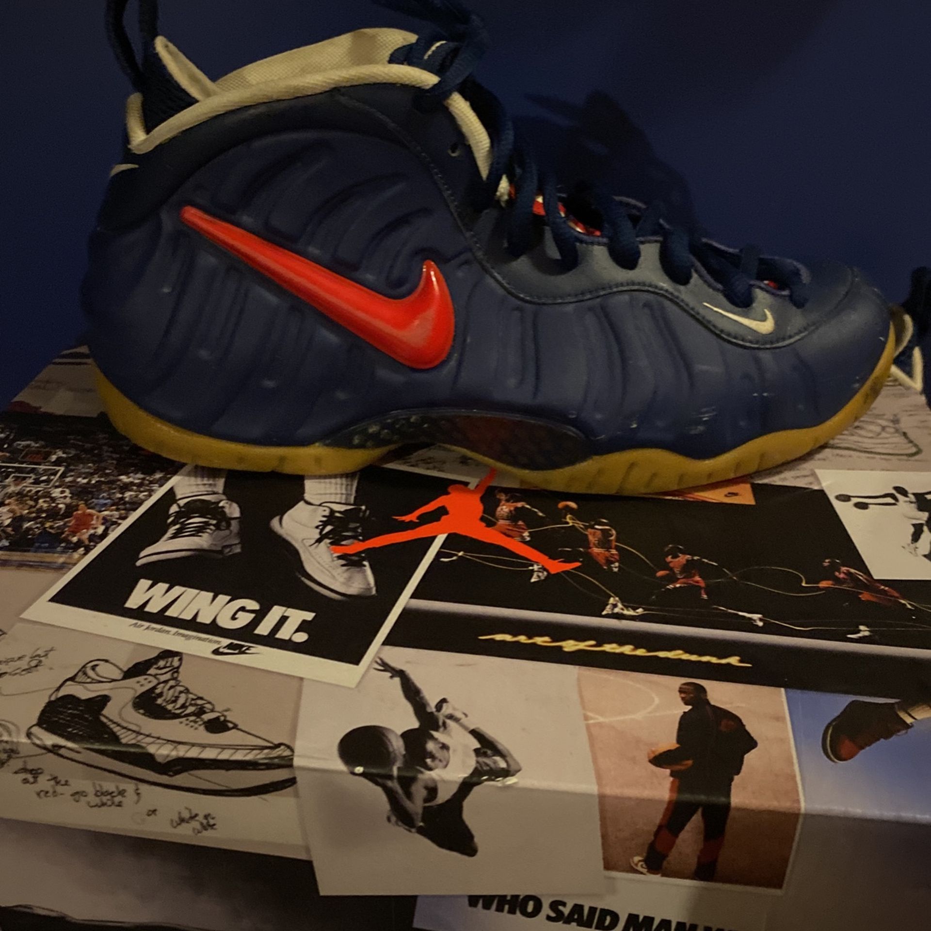 Nike USA FoamPosites Size 8.5