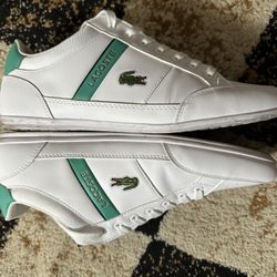Lacoste Mens Shoes