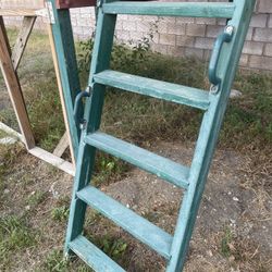 Playground Ladder