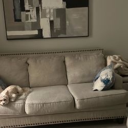 New Sofa