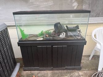 Fish tank n supply