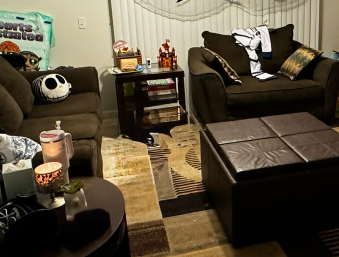 Cozy Living room Furniture 