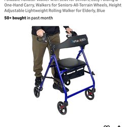 Handicap walker