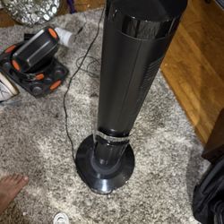 Vornado Tower Fan