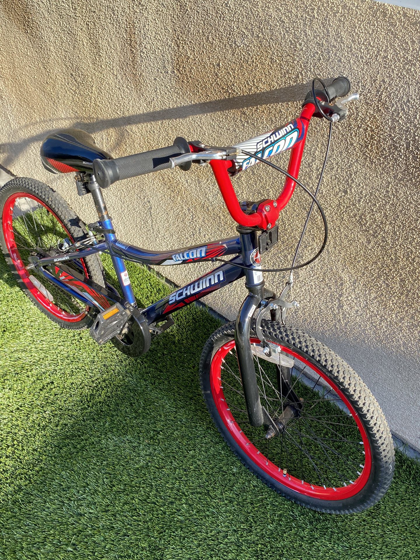 Kids Schwinn Falcon 20″ Bike