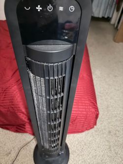Fan