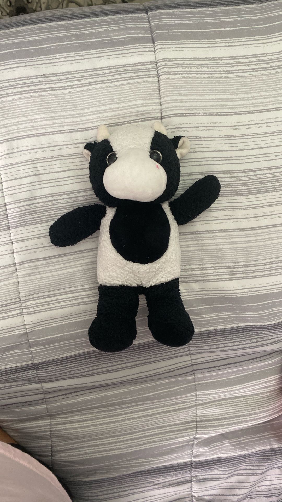 Cow Plush For Kids. “Pay Cash Only”