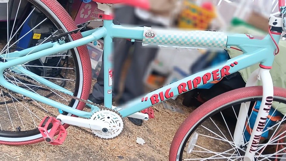 SE Van BIG RIPPER BIKE- Willing To Trade For Car