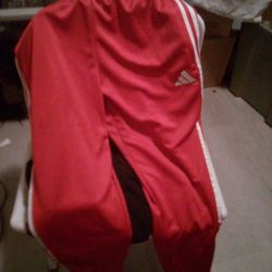 Adida Pants