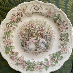 Cute Royal Doulton Beatrix Potter Branbly Hedge Plate