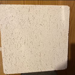 CELTEX 24”x24” Ceiling Tile