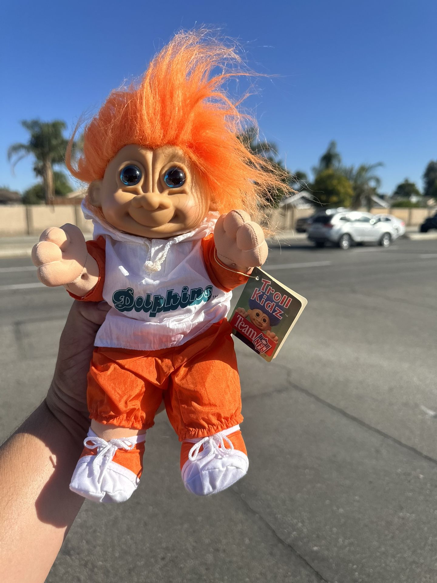 Miami Dolphins Troll