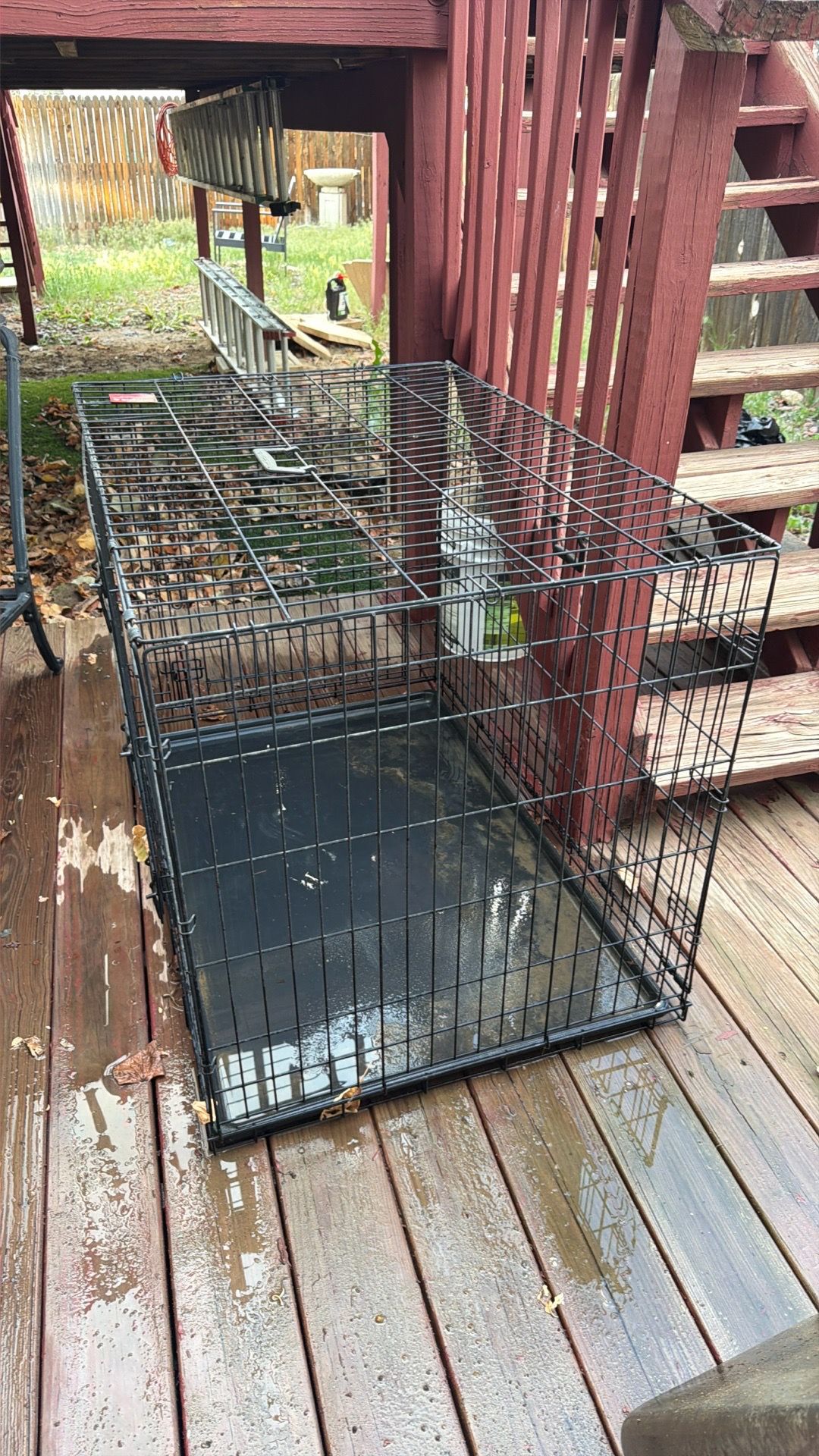 Large cage dog