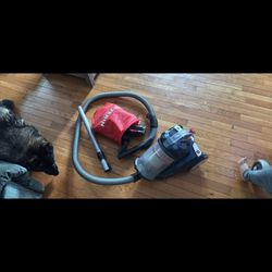 Severin Vacuum S>Special Car, PET, &Carpets Nonstop