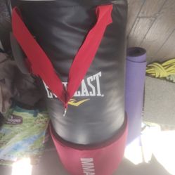 40 Lb Everlast Mma Boxing Bag