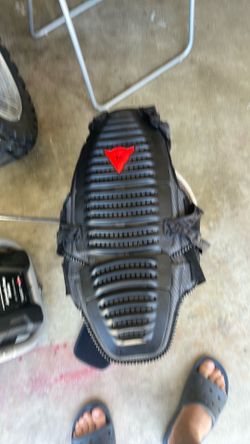 Dainise back protector