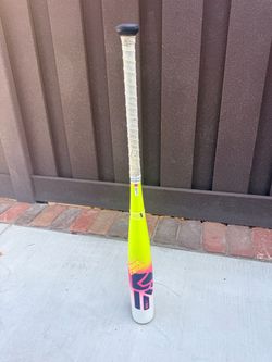 Easton Dub Baseball Bat