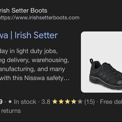 Brand New Steel Toe, Red Wing Shoes