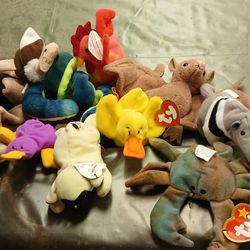 TY  New Baby Beanies....