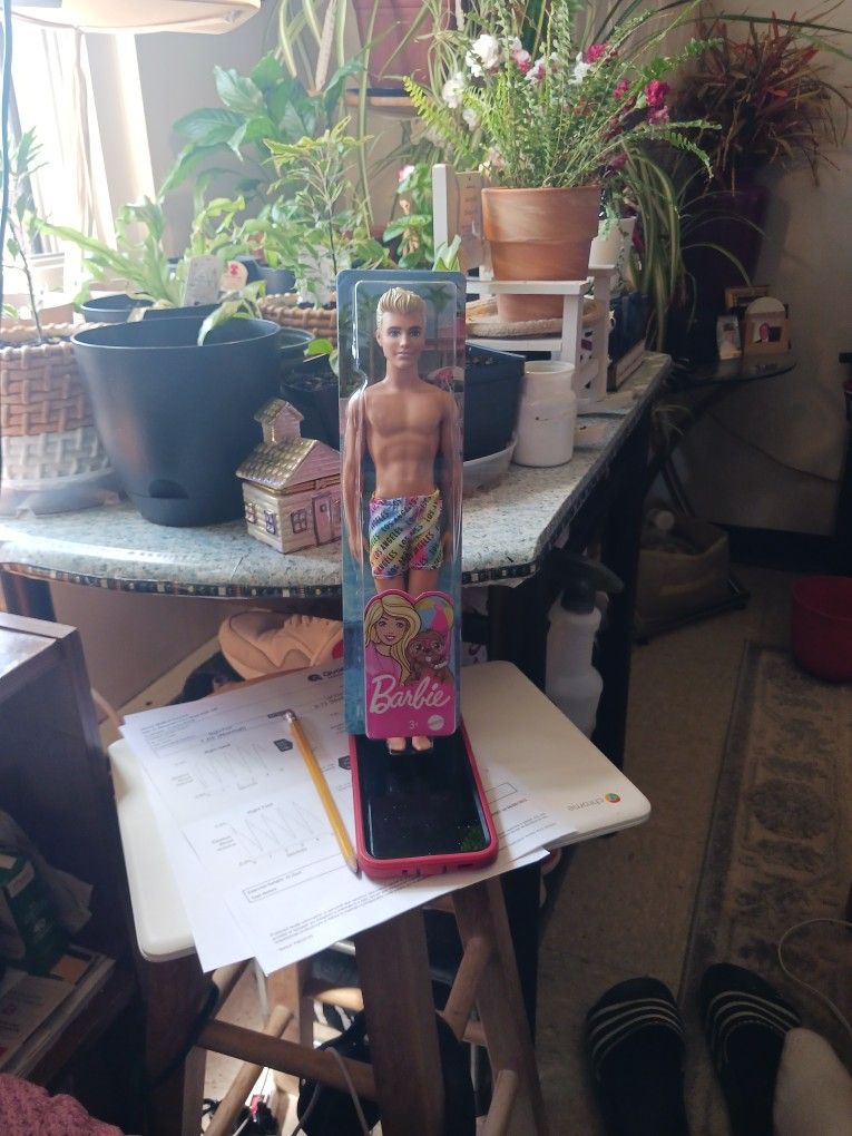 Barbie Doll